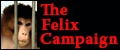 The Felix Campaign