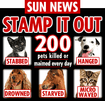 The Sun Newspaper Online