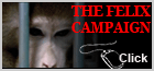The Felix Campaign