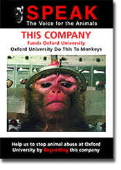 Download generic funders leaflets (pdf)