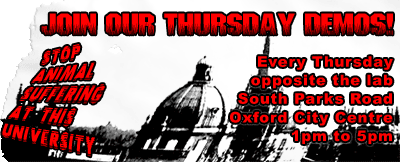 Click for details about our Thursday demos