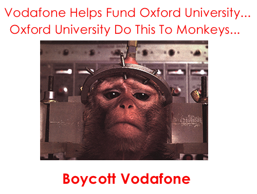 Boycott Vodafone Day of Action-26th November 2005