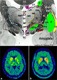 examples_technology-web
